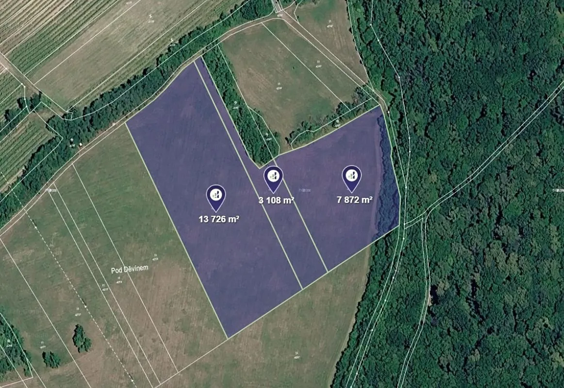 Prodej louky 24706 m²